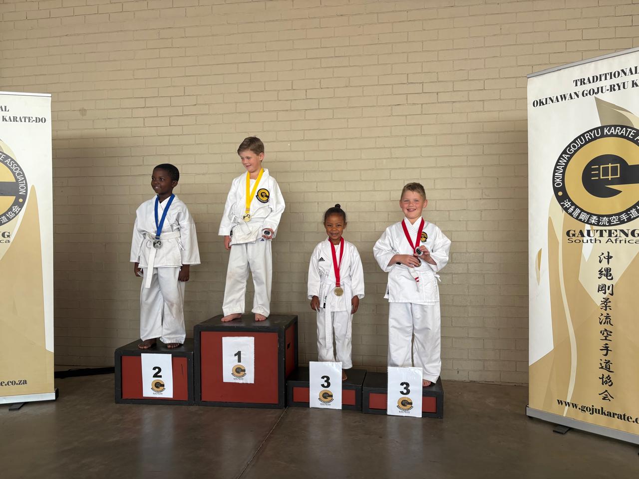 Goju Ryu Karate Centre Randburg